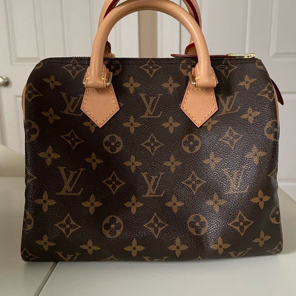 Louis Vuitton Classic Speedy 25